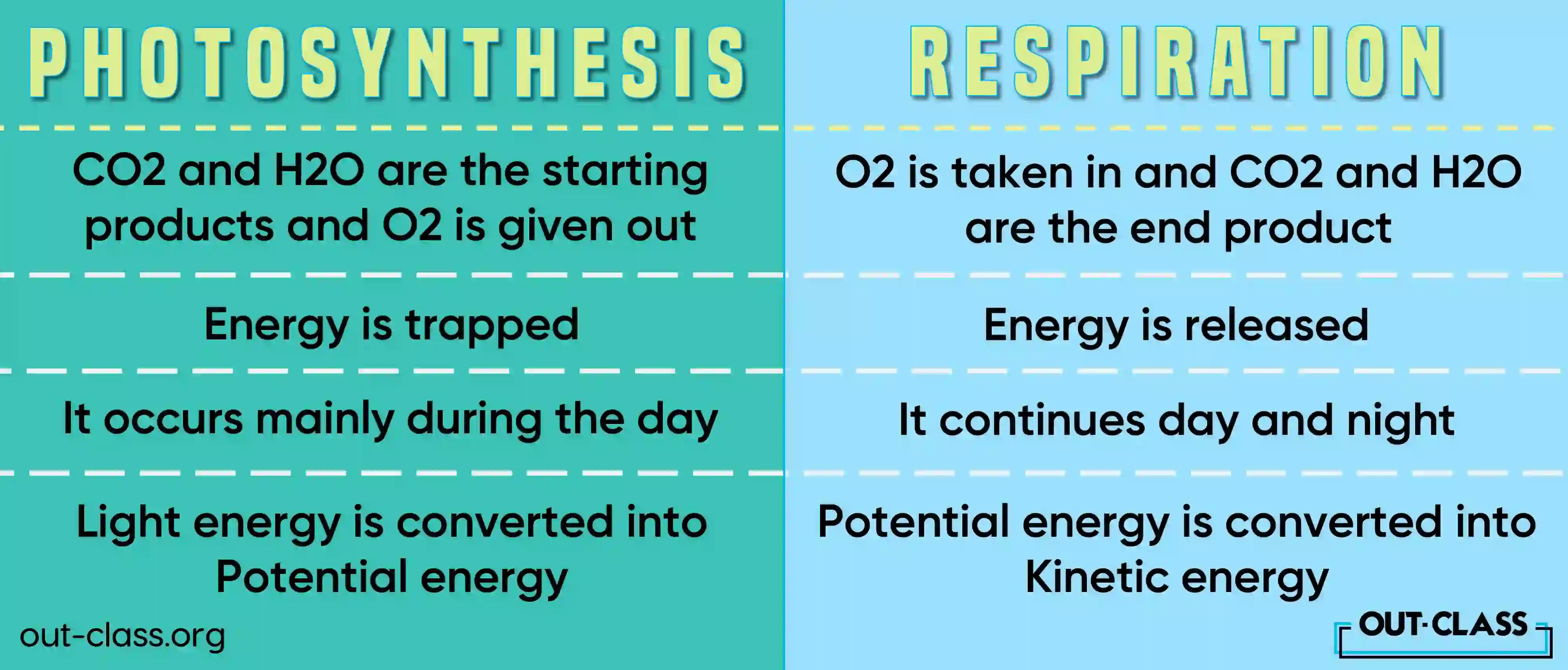 Difference Between Photosynthesis and Respiration  The difference between photosynthesis and respiration can be summarized as follows:  Purpose: Photosynthesis converts light energy into chemical energy (glucose), while respiration converts chemical energy (glucose) into usable energy (ATP).  Reactants and Products: In photosynthesis, the reactants are carbon dioxide and water, and the products are glucose and oxygen. In respiration, the reactants are glucose and oxygen, and the products are carbon dioxide, water, and energy.  Location: Photosynthesis occurs in the chloroplasts of plant cells, whereas respiration occurs in the mitochondria of all eukaryotic cells.  Energy Flow: Photosynthesis stores energy in glucose molecules, while respiration releases energy from glucose molecules.