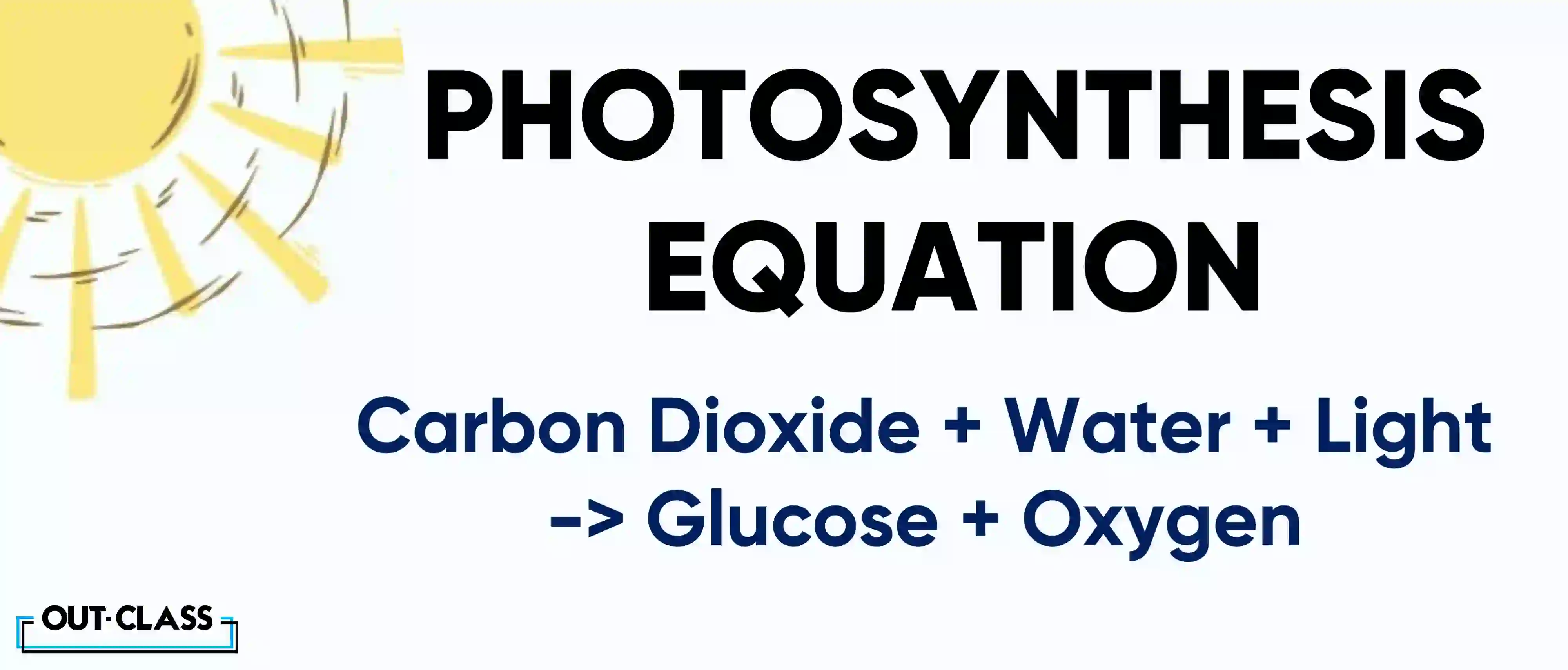 This formula encapsulates the magical conversion of sunlight, water, and carbon dioxide into glucose and oxygen – a fundamental concept for O Level and IGCSE Biology students. 